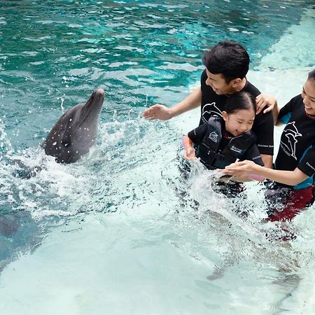 Resorts World Sentosa - Hotel Singapore Exterior foto Dolphin Interaction