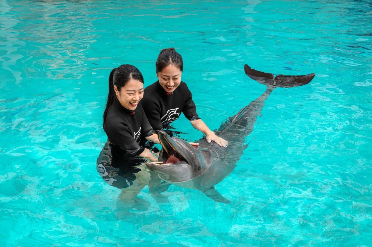 Resorts World Sentosa - Hotel Singapore Exterior foto Dolphin show at SeaWorld