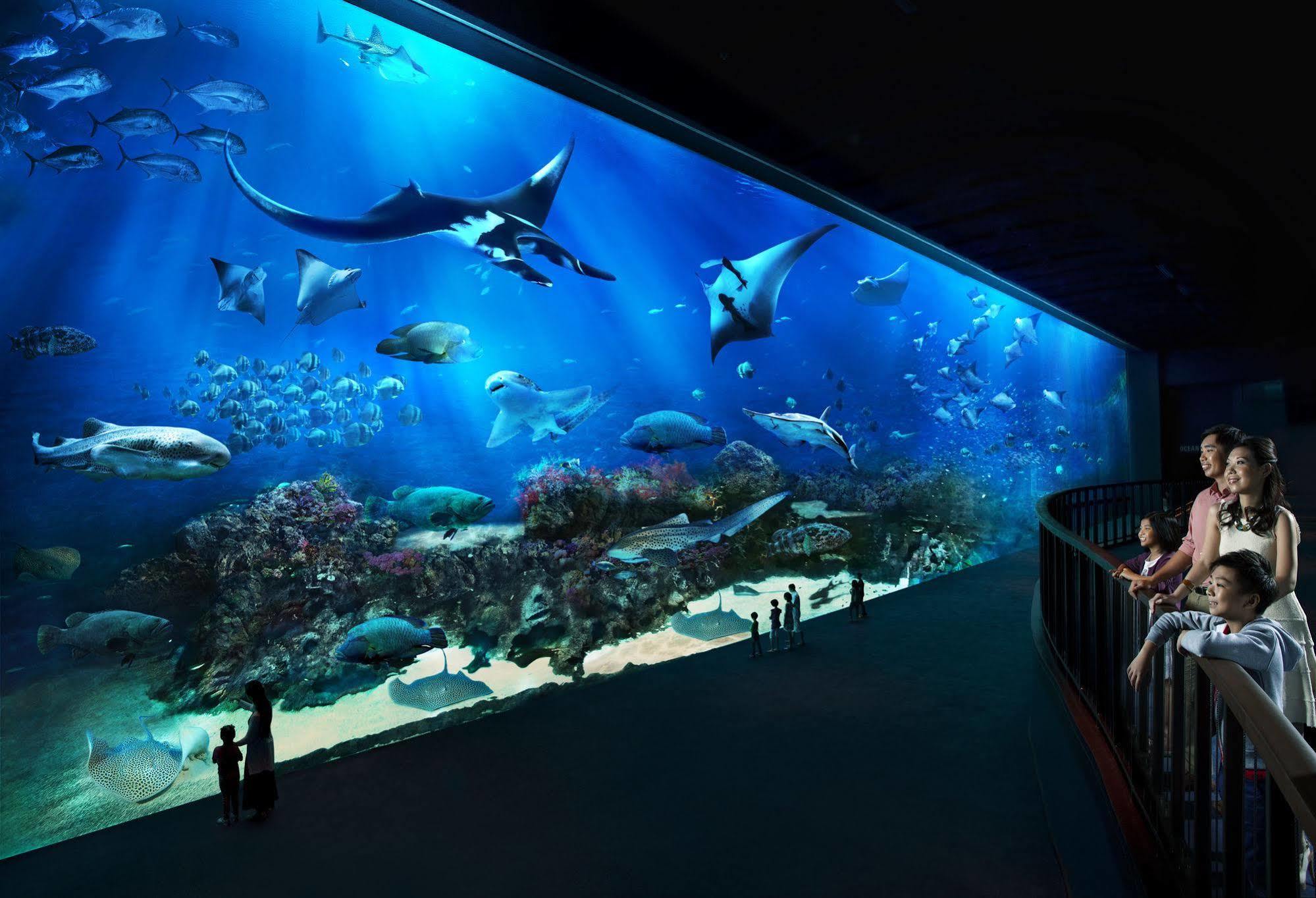Resorts World Sentosa - Hotel Singapore Exterior foto The open ocean exhibit